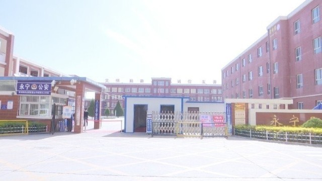 自動紅外線測溫儀