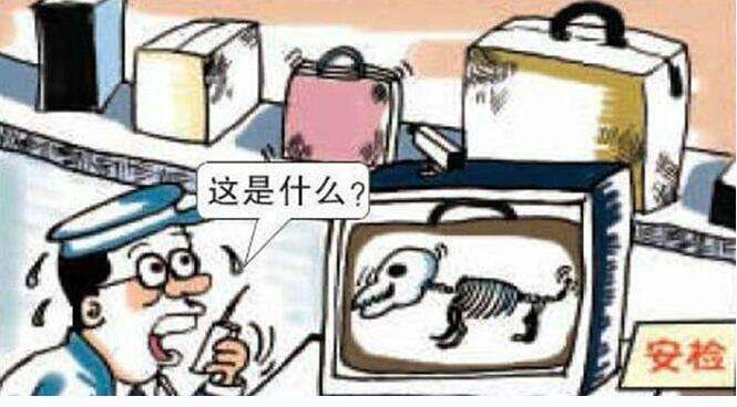 X光機(jī)圖像識別